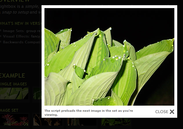most used prototype lightbox plugin most used prototype lightbox plugin